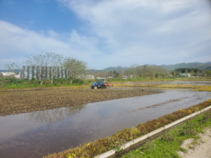 青森米 アグリショップ ぶんべい