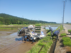 青森米 アグリショップ ぶんべい