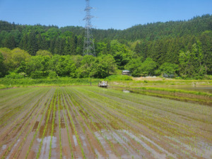 青森米 アグリショップ ぶんべい