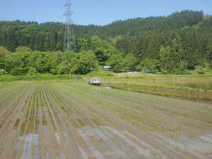 青森米 アグリショップ ぶんべい