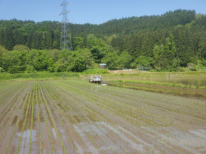 青森米 アグリショップ ぶんべい